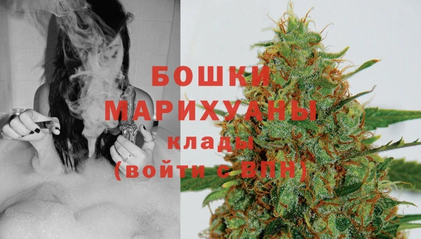 МДПВ Липки