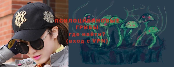 МДПВ Липки