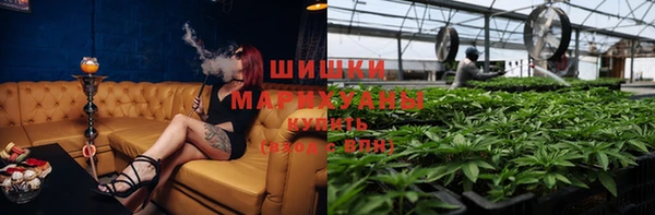 МДПВ Липки