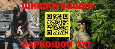 крисы Заводоуковск
