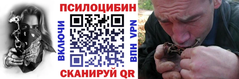 мега ссылка  Лесной  Псилоцибиновые грибы Psilocybe  дарнет шоп 