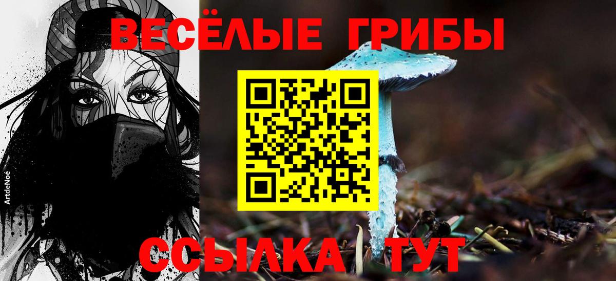 Галлюциногенные грибы мицелий  Лесной  Галлюциногенные грибы мицелий 