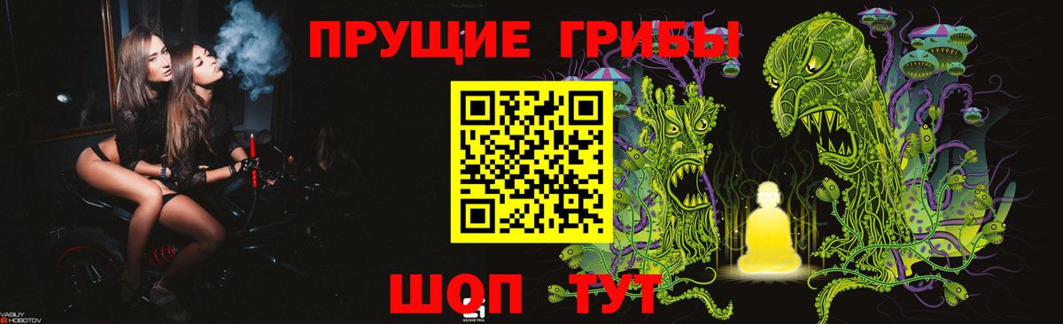 Псилоцибиновые грибы прущие грибы Лесной